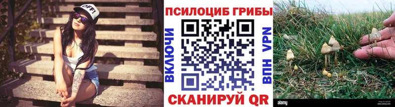 блэк спрут ссылка Одинцово Псилоцибиновые грибы GOLDEN TEACHER